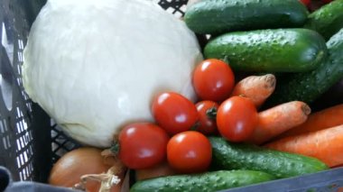 Sebzeli patates, salatalık, salatalık, vişne, lahana, soğan, havuç. Coronavirus salgını ve sosyalleşme sırasında yiyecek dağıtım hizmetleri. İnternetten alışveriş. Yiyecek Bağışları