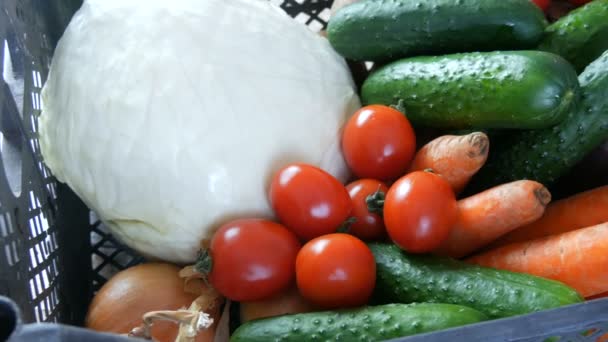 Pudełko z warzywami buraki ziemniaczane ogórki pomidory wiśniowe cebula kapusta marchew zbliżenie. Usługi dostarczania żywności podczas pandemii koronawirusów i dystansu społecznego. Zakupy online. Dawstwo żywności — Wideo stockowe