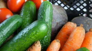 Sebzeli patates, salatalık, salatalık, vişne, lahana, soğan, havuç. Coronavirus salgını ve sosyalleşme sırasında yiyecek dağıtım hizmetleri. İnternetten alışveriş. Yiyecek Bağışları