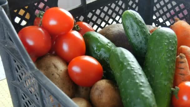 Caixa com verduras batatas beterrabas pepinos tomates cereja cebolas de repolho cenoura de perto. Serviços de entrega de alimentos durante a pandemia de coronavírus e distanciamento social. Compras online. Doações de alimentos — Vídeo de Stock