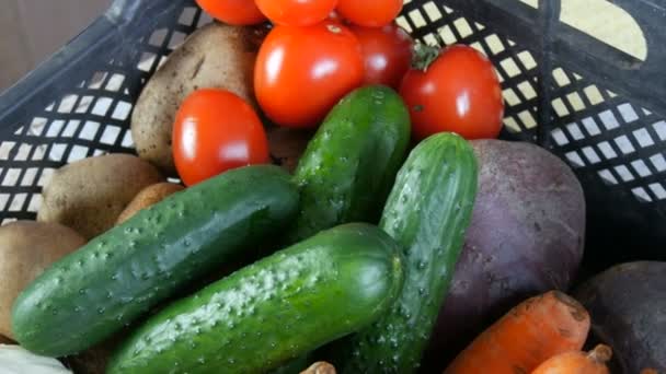 Caixa com verduras batatas beterrabas pepinos tomates cereja cebolas de repolho cenoura de perto. Serviços de entrega de alimentos durante a pandemia de coronavírus e distanciamento social. Compras online. Doações de alimentos — Vídeo de Stock