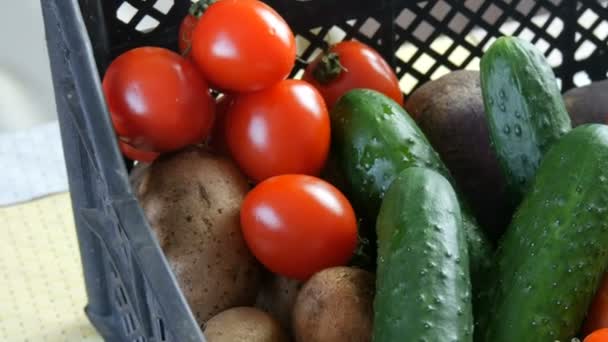 Doos met groenten aardappelen bieten komkommers cherry tomaten kool uien wortel close-up. Levering van voedsel tijdens de pandemie met het coronavirus en op sociale afstand. Online winkelen. Voedseldonaties — Stockvideo