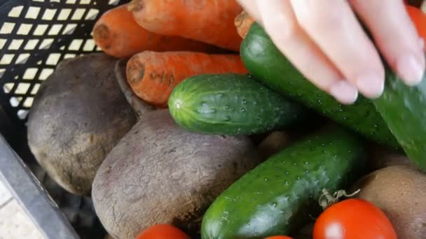 女性の手はキュウリを取る。野菜と箱ジャガイモビーツチェリートマトキャベツ玉ねぎを閉じます。コロナウイルスのパンデミックと距離の間の食品配送サービス。オンラインショッピング. — ストック動画