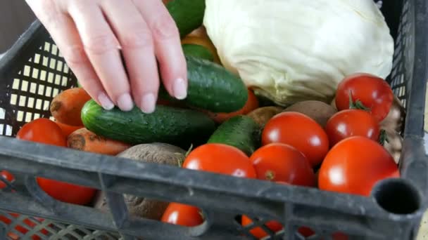 Vrouwelijke handen nemen komkommer en wortel. Doos met groenten aardappelen bieten cherry tomaten kool uien close-up. Levering van voedsel tijdens een coronaviruspandemie en op afstand. Online winkelen. — Stockvideo