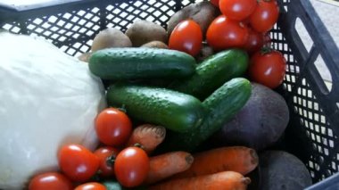 Sebzeli patates, salatalık, salatalık, vişne, lahana, soğan, havuç. Coronavirus salgını ve sosyalleşme sırasında yiyecek dağıtım hizmetleri. İnternetten alışveriş. Yiyecek Bağışları