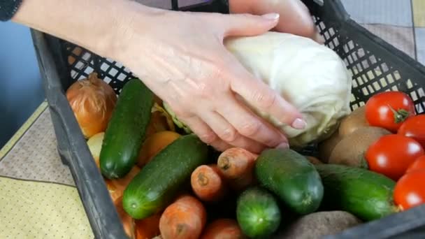 Weibliche Hände nehmen Kohl. Box mit Gemüse Kartoffeln Rüben Gurken Kirschtomaten Kohlzwiebeln aus nächster Nähe. Essenslieferdienste während der Coronavirus-Pandemie und Distanzierung. Online einkaufen. — Stockvideo