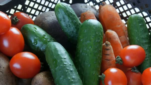 Κουτί με πατάτες λαχανικών κολοκυθάκια αγγούρια ντοματίνια λάχανο κρεμμύδια καρότο κοντά. Υπηρεσίες παράδοσης τροφίμων κατά τη διάρκεια πανδημίας του κορωνοϊού και κοινωνικής απομάκρυνσης. Αγορές online. Δωρεές τροφίμων — Αρχείο Βίντεο