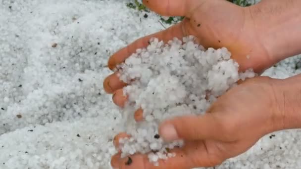Desastre natural, manos masculinas sostienen una gran cantidad de nieve helada granizo en sus manos — Vídeos de Stock