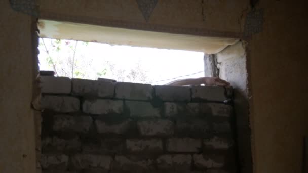 Male hands of a builder lay a brick on fresh wet cement. Brick wall, lined window — Stock Video