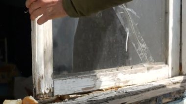 Erkek eli çerçeveden cam bir pencere çıkarır. Çürümüş eski bir ahşap pencerenin çerçevelerini sökün. Eskisini yenisiyle değiştirmek..