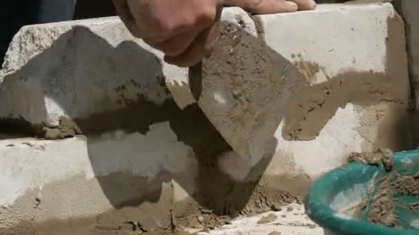 ビルダーの男性の手は新鮮な湿ったセメントの上にレンガを置きます。建設現場での白いレンガの行を閉じるビュー。壁 — ストック動画