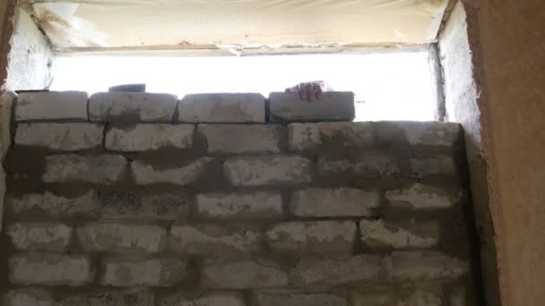 Male hands of a builder lay a brick on fresh wet cement. Brick wall, lined window — Stock Video