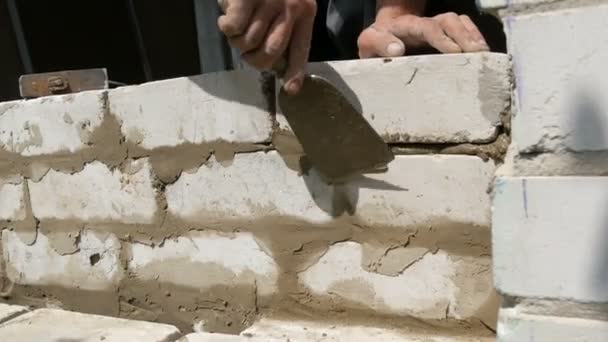 Las manos masculinas del constructor ponen el ladrillo sobre el cemento fresco mojado. Una fila de ladrillos blancos en un sitio de construcción vista de cerca. Pared — Vídeos de Stock