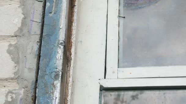 Les mains des hommes sortent une fenêtre en verre du cadre. Démonter les cadres d'une vieille fenêtre en bois pourrie. Remplacer l'ancien par le nouveau . — Video