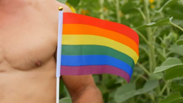 Торсо - атлетичне тіло молодого засмаглого чоловіка, який тримає в руках веселку Гей-гордість ЛГБТ-прапора в руках, що символізує нетрадиційну орієнтацію на тлі зеленої природи. — стокове відео
