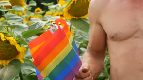 Corpo bonito de um jovem homem atlético com belos músculos segura um arco-íris Orgulho gay Bandeira LGBT em suas mãos um símbolo de orientação não convencional, contra de girassóis florescendo no verão — Vídeo de Stock