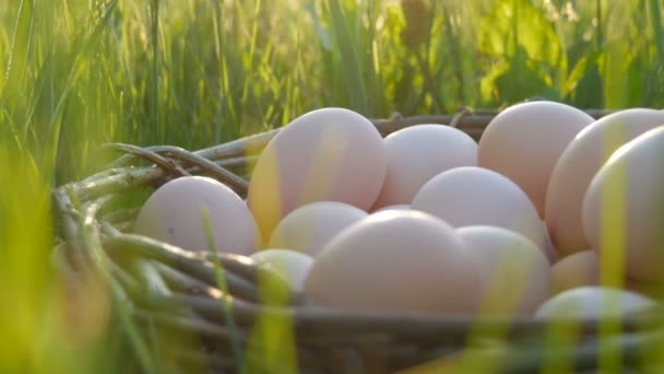 太陽の下で春に緑の草の中に、小枝で作られた邪悪な巣の中に白い鶏の卵。農業、イースターと環境製品の概念. — ストック動画