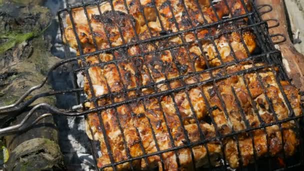 Una parrilla de barbacoa llena de carne se asa en una hoguera en un picnic. Grasa de la carne gotea sobre carbones en llamas — Vídeos de Stock