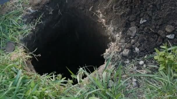 A large vintage old spade digs a hole in the ground — Stock Video