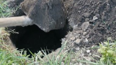 Büyük, eski bir maça yerde bir çukur kazar.