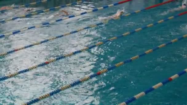 많은 특별 한 트랙으로 수영장. 수영 훈련을 받은 여성들 — 비디오