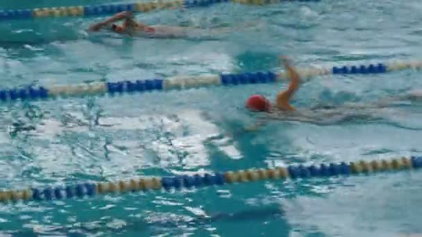 Kamenskoye, Ucraina - 24 gennaio 2020: piscina con molte piste speciali. Womens Freestyle Concorsi di nuoto — Video Stock
