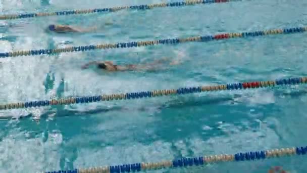 Basen z wieloma specjalnymi ścieżkami. Kobiet Freestyle Swimming szkolenia — Wideo stockowe
