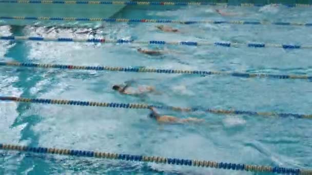Homens nadadores em um treinamento de natação em uma piscina grande especialmente equipada com óculos de mergulho e bonés. Costas sincronizadas — Vídeo de Stock