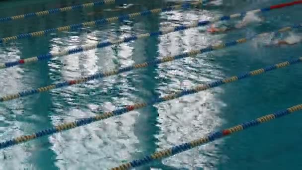 많은 특별 한 트랙으로 수영장. 수영 훈련을 받은 여성들 — 비디오