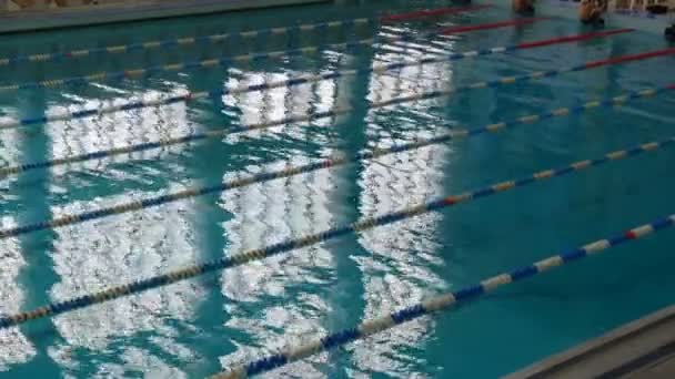 남자들은 특수 시설을 갖춘 커다란 수영장에서 수영 연습을 하면서 수영 선수들 이 고글 과 모자를 쓰고 수영을 한다. 동기화 된 척추 뇌졸중 — 비디오