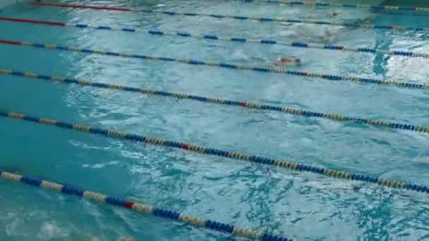 Piscina con molte piste speciali. Donna Freestyle Nuoto formazione — Video Stock