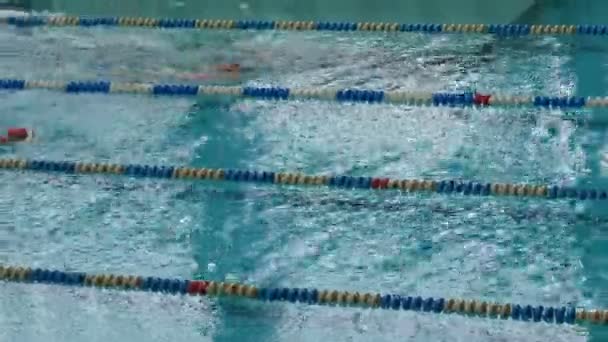 Kamenskoye, Ucrânia - 24 de janeiro de 2020: Piscina com muitas faixas especiais. Womens Freestyle Natação Competições — Vídeo de Stock