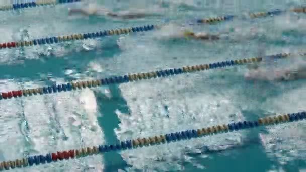 Piscina con molte piste speciali. Donna Freestyle Nuoto formazione — Video Stock