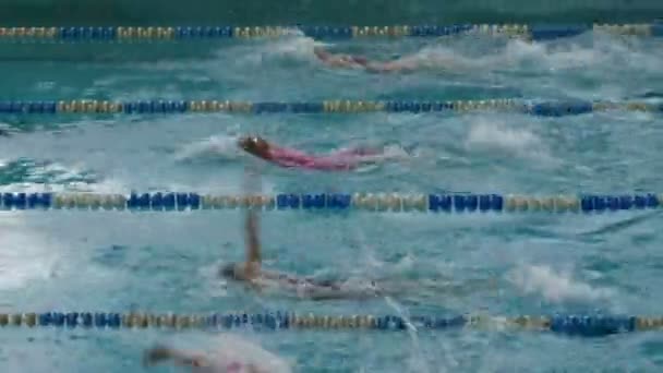 Piscina con molte piste speciali. Donna Freestyle Nuoto formazione — Video Stock