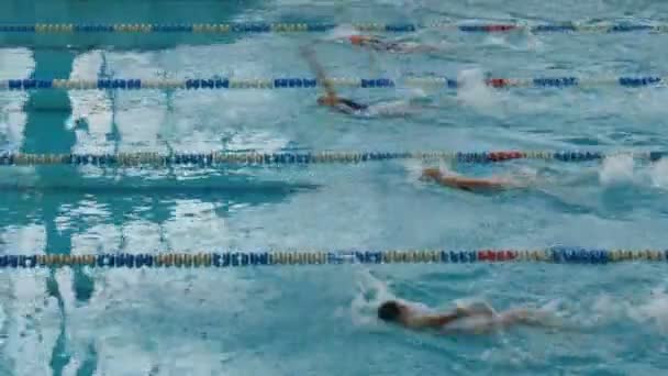 많은 특별 한 트랙으로 수영장. 수영 훈련 여성들 — 비디오