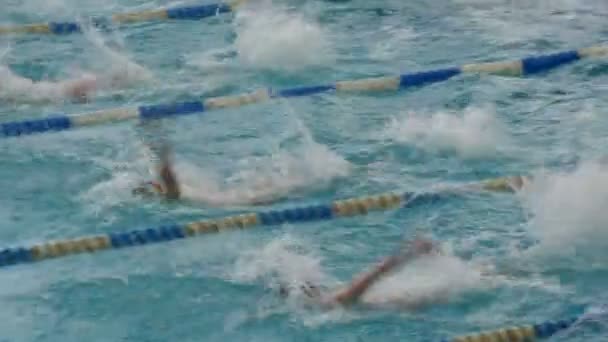 Yüzme eğitiminde yüzen erkekler özel donanımlı büyük bir havuzda dalış gözlüğü ve kepleriyle. Senkronize Sırt Vuruşu — Stok video