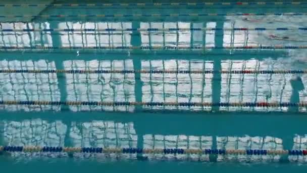잠수용 고글 과 특수 수영 모자를 가진 세 명의 수영 선수가 있다. 많은 특별 한 트랙으로 수영장. 수영 훈련을 받은 여성들 — 비디오