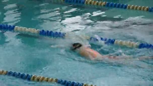 Pool mit vielen speziellen Bahnen. Freistilschwimmen der Frauen — Stockvideo