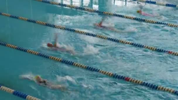 Piscina com muitas faixas especiais. Mulheres Treino de natação — Vídeo de Stock