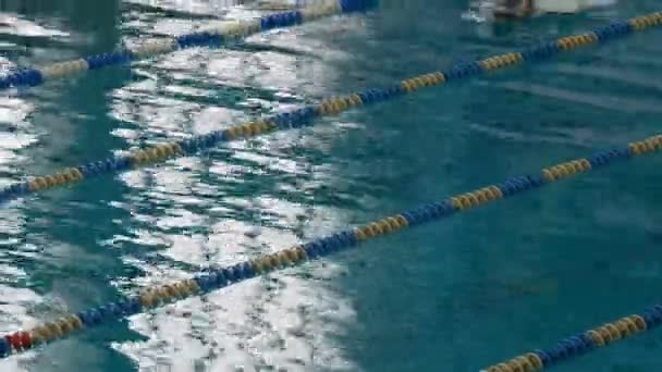 Kamenskoye, Ucrânia - 24 de janeiro de 2020: Homens nadadores em uma competição de natação em uma piscina grande especialmente equipada com óculos de mergulho e bonés. Costas sincronizadas — Vídeo de Stock