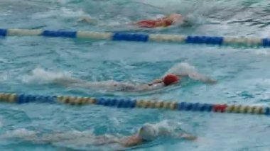 Kamenskoye, Ukrayna - 24 Ocak 2020: Birçok özel parçalı havuz. Kadınlar Serbest Yüzme Yarışmaları