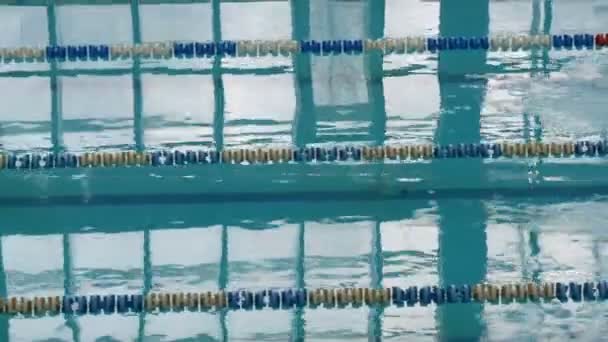 Piscina com muitas faixas especiais. Mulheres Treino de natação — Vídeo de Stock