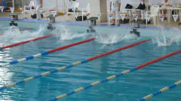 Kamenskoye, Ucraina - 24 gennaio 2020: Gara di nuoto. Gli atleti nuotatori alla partenza sono immersi nell'acqua — Video Stock