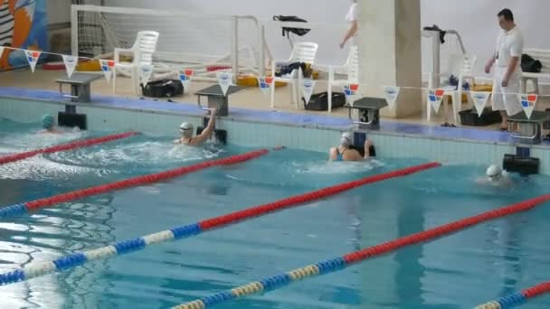 Каменское, Украина - 24 января 2020 года: соревнования по плаванию. Спортсмены на старте погружаются в воду — стоковое видео
