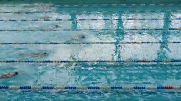 Zwembad met veel speciale banen. Vrouwen Freestyle Zwemtraining — Stockvideo