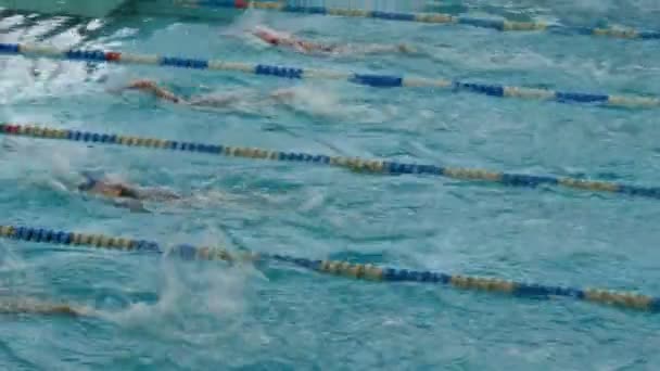 Pool with many special tracks. Womens Freestyle Swimming training — Stock Video