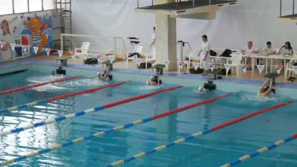 Каменское, Украина - 24 января 2020 года: соревнования по плаванию. Спортсмены на старте погружаются в воду — стоковое видео