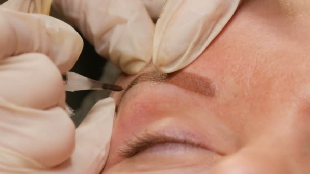 Améliorer la forme des sourcils dans un salon de beauté vue rapprochée. Microblading, maquillage permanent, maquillage permanent, pulvérisation de poudre — Video