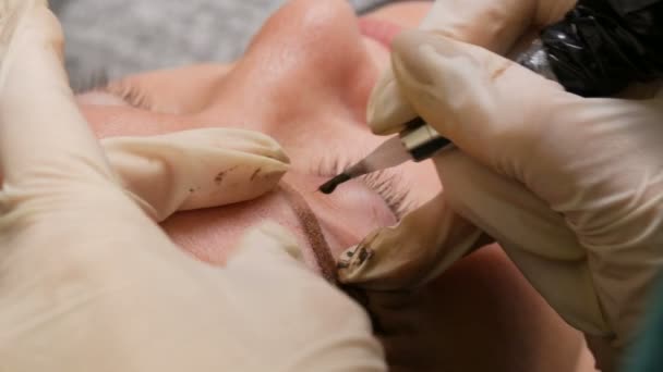 Melhorar e corrigir a forma das sobrancelhas no salão de beleza. Um método moderno de correção de sobrancelha com pulverização em pó. Microblading, tatuagem de sobrancelha, maquiagem permanente — Vídeo de Stock