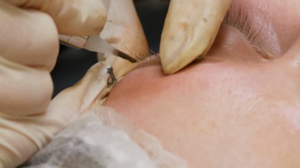 A mão do mestre faz a maquilagem permanente. Um método moderno de correção de sobrancelha com pulverização em pó. Microblading, tatuagem de sobrancelha — Vídeo de Stock